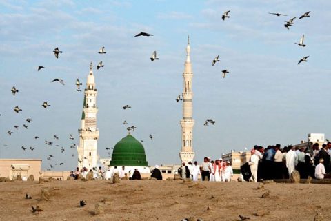 مدینه منوره (3)