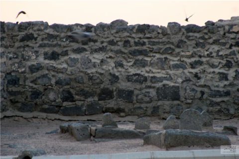 مدینه منوره (6)